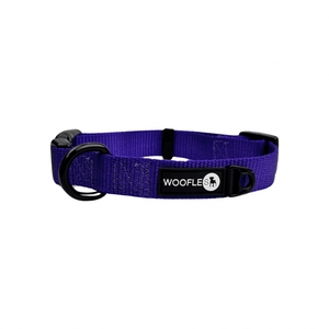 NEW Maximum Comfort Collar - Purple