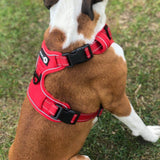 Endurance Harness - Red