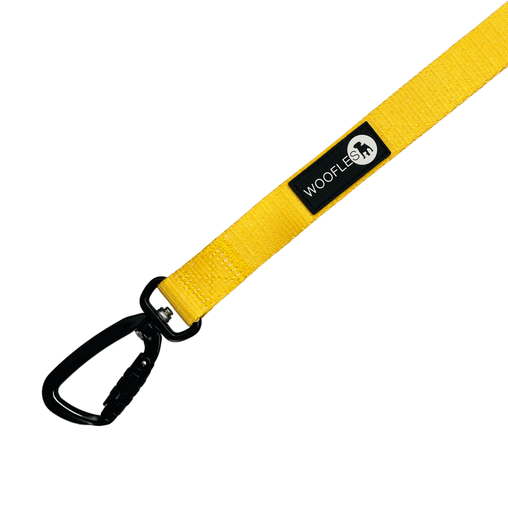 Maximum Comfort Carabiner Dog Lead - Mustard Yellow