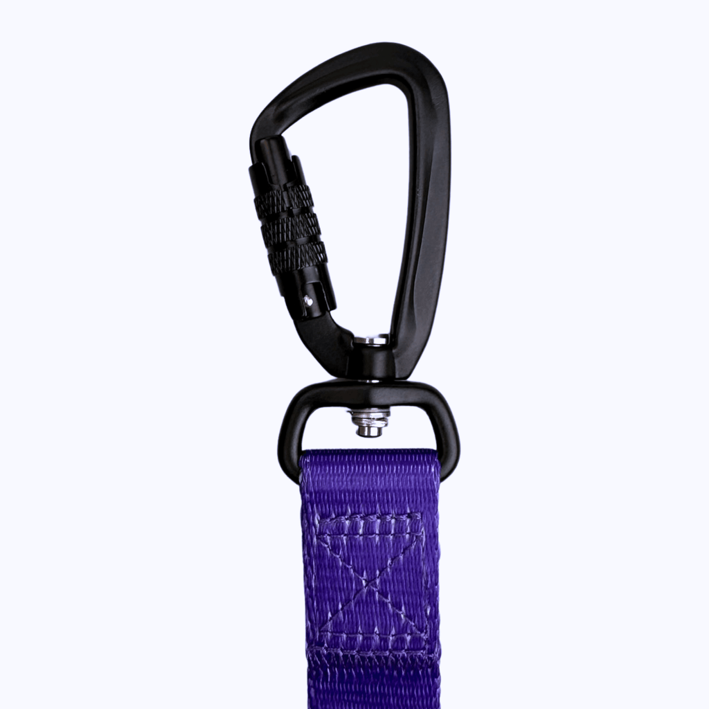 NEW Maximum Comfort Carabiner Dog Lead - Purple