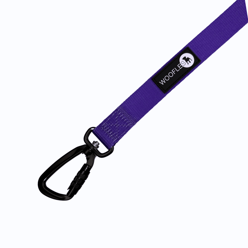 NEW Maximum Comfort Carabiner Dog Lead - Purple