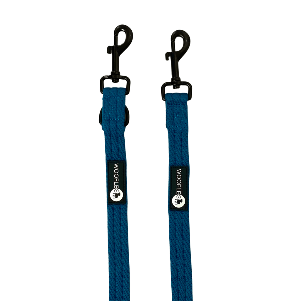 OneLead™ - Teal - Double ended, multi-functional dog lead